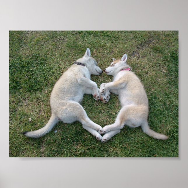 Poster coeur (Devant)