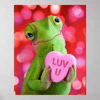 Cœur de Caméléon (Amour toi)