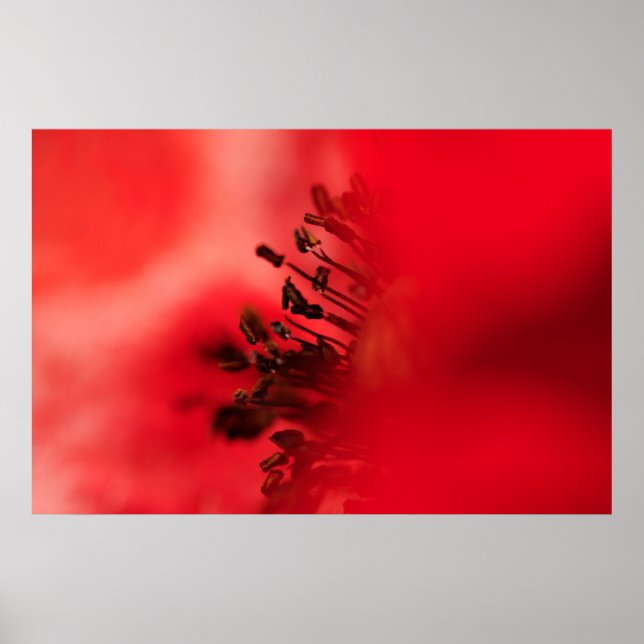 Poster Coeur de papy (Devant)