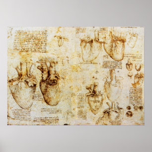 Poster Coeur Et Ses Bateaux De Sang