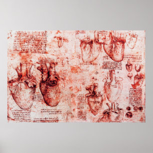 Poster Cœur et ses vaisseaux sanguins Léonard de Vinci, R