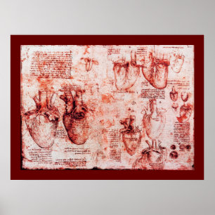 Poster Cœur et ses vaisseaux sanguins, toile rouge