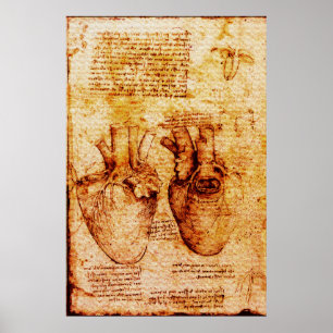Poster Coeur, Ses vaisseaux sanguins, Léonard De Vinci Br