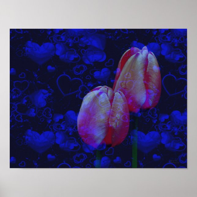 Poster Coeurs Bleus Électriques Et Tulipes Roses Art Flor (Devant)