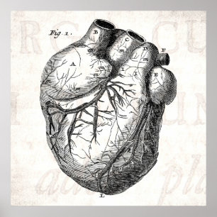 Poster Coeurs cardiaques rétro Cardiac des années 1800 vi
