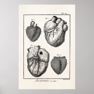 Poster Coeurs cardiaques rétro Cardiac des années 1800 vi