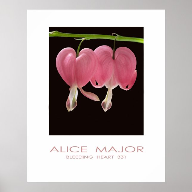 Poster Coeurs saignants 331 (Devant)