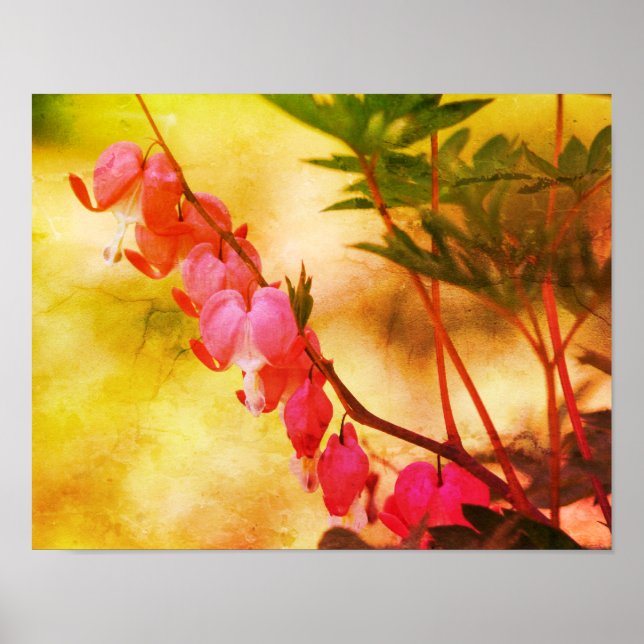 Poster Coeurs Saignants Roses Fleurs Art Distressé (Devant)