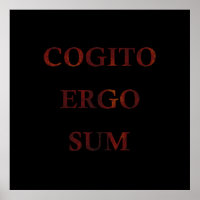 Cogito