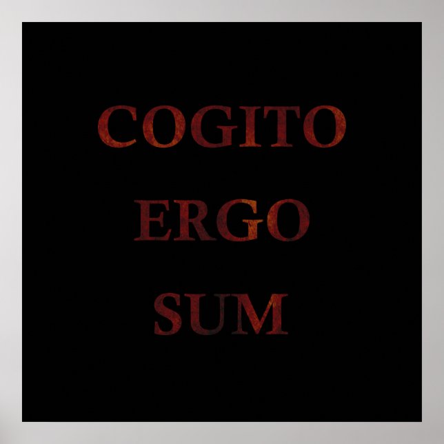 Poster Cogito ergo sum (Devant)
