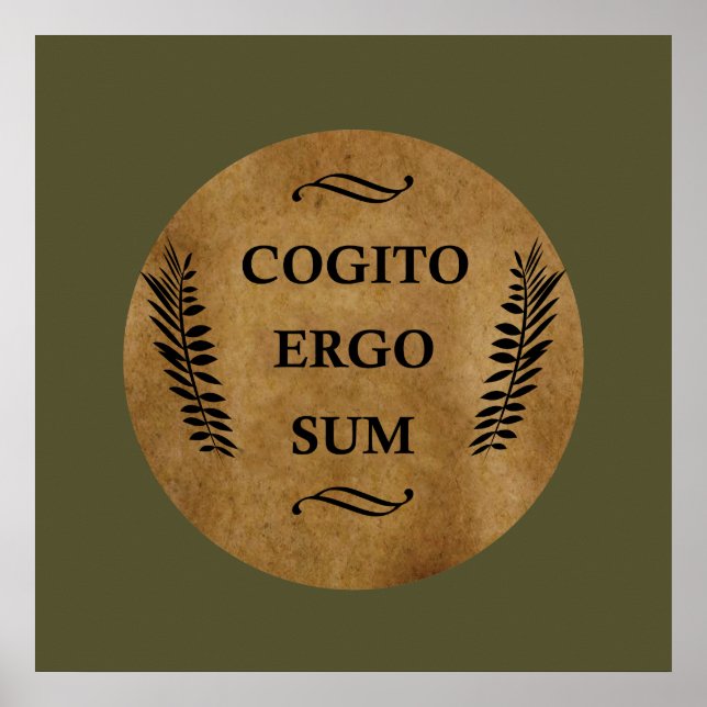 Poster Cogito ergo sum (Devant)