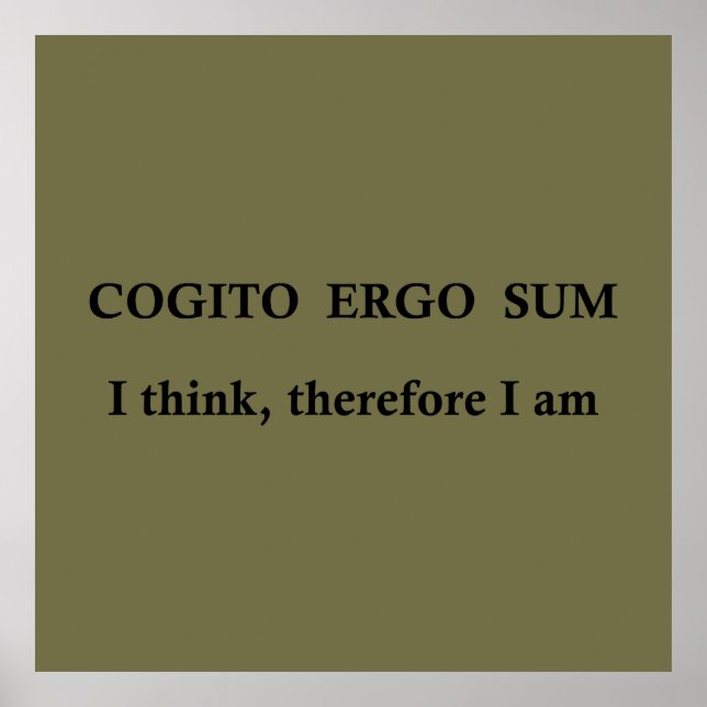 Poster cogito ergo sum, expression latine (Devant)