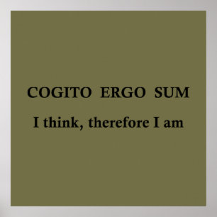 Poster cogito ergo sum, latin phrase