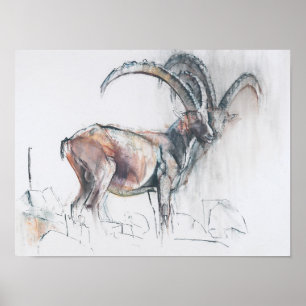 Poster Col di Vermianaz