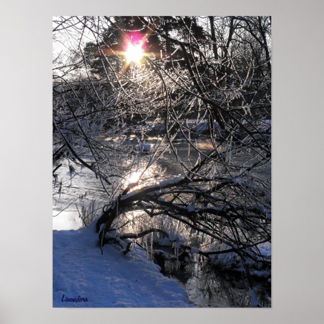 Poster Cold River (Devant)