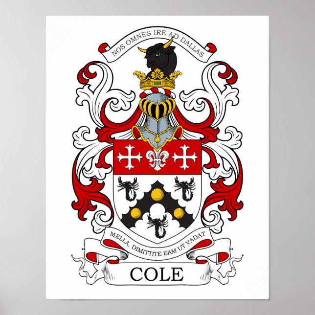 Poster Cole personnalisée 2 (Devant)