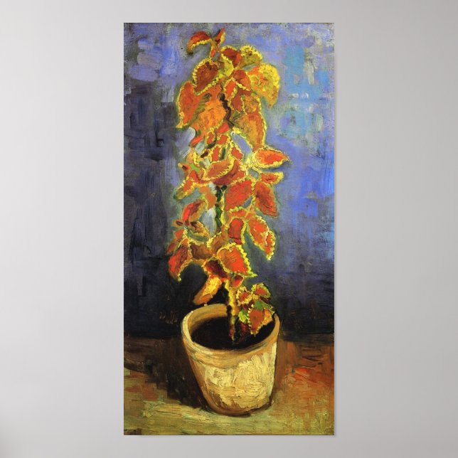 Poster Coleus Plante dans un pot de fleurs Van Gogh Art (Devant)