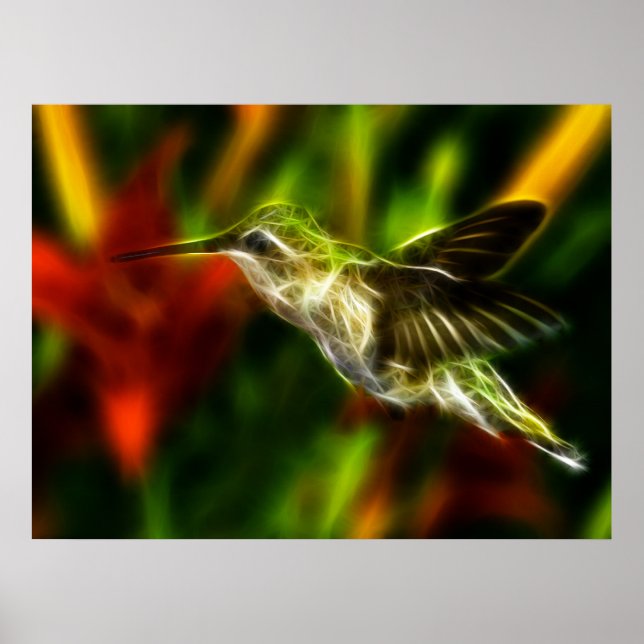 Poster Colibri (Devant)