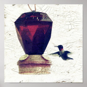 Poster Colibri