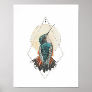Poster Colibri