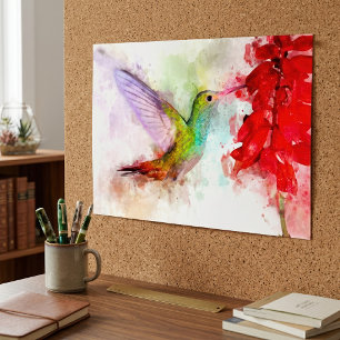 Poster Colibri à l'aquarelle se nourrissant de fleur roug