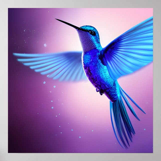 Poster Colibri bleu (Devant)