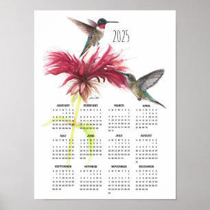Poster Colibri Couple 2025 