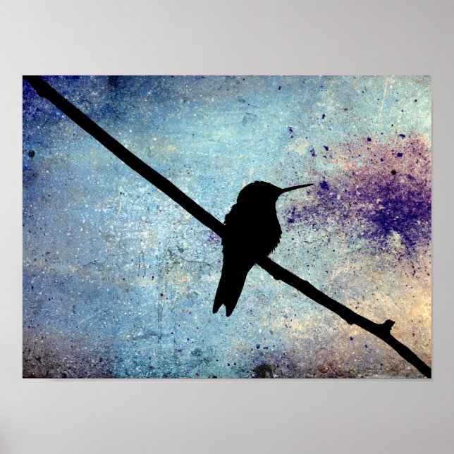Poster Colibri de Grunge (Devant)