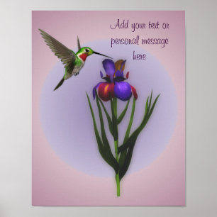 Poster Colibri Et Fleur Iris Personnalisés