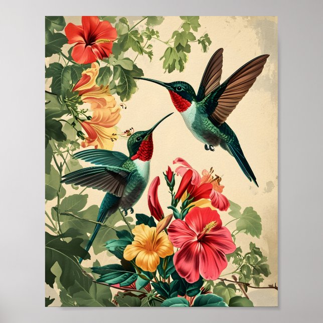 Poster Colibri et fleurs : Vintage (Devant)