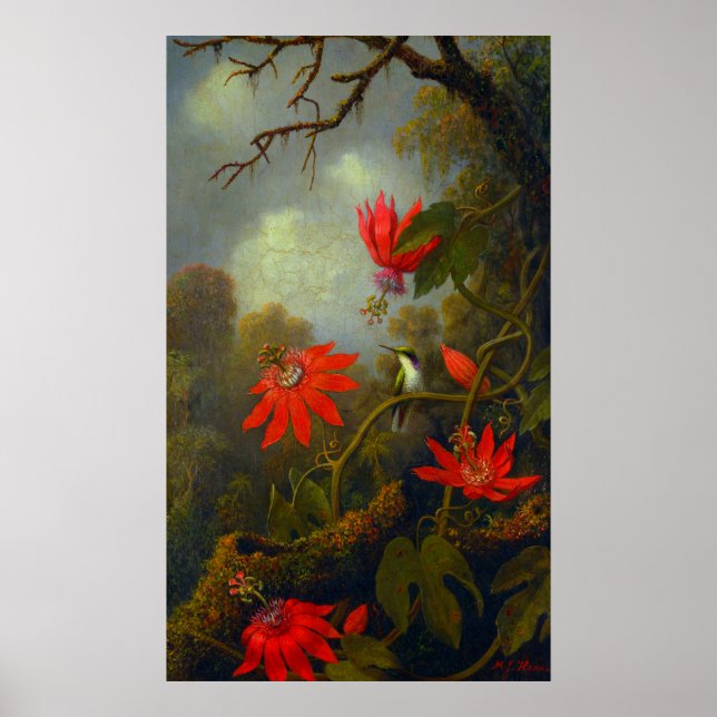 Poster Colibri et Passionflowers (1875) (Devant)