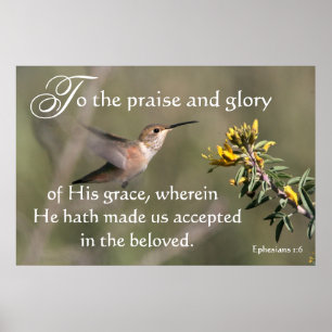 Poster Colibri Nous sommes acceptés en Jésus Imprimer