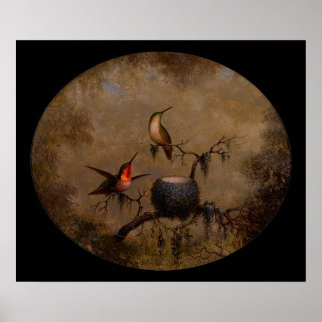 Poster Colibri oiseau nid victorien de la haie (Devant)