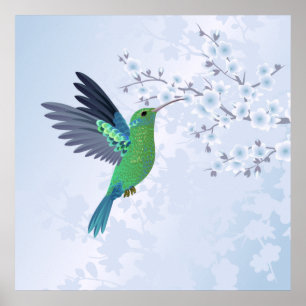 Poster Colibri Vert Avec Fleur De Cerisier Bleu