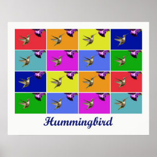 Poster Colibri x16 (Titre)