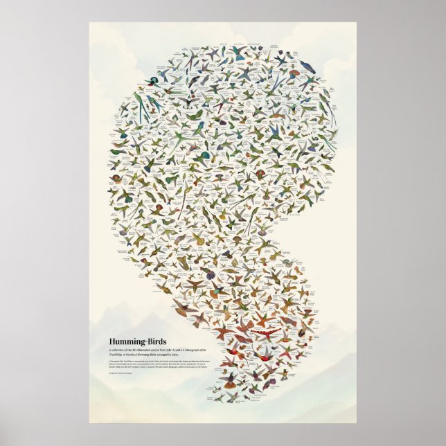 Poster Colibris - Clair (Devant)