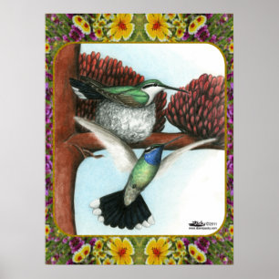 Poster Colibris et fleurs #3