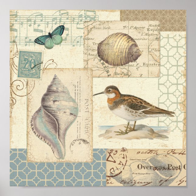 Poster Collage de coquillages (Devant)