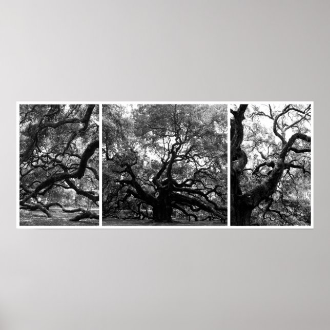 Poster Collage de l'arbre Angel (Devant)