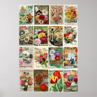 Poster Collage des catalogues de semences de fleurs vinta