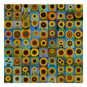 Poster Collage des tournesols