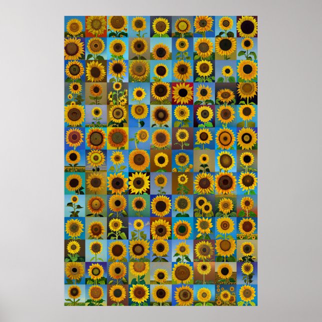 Poster Collage des tournesols (Devant)