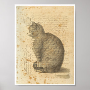 Poster Collage vintage de chat