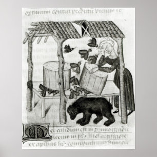 Poster Collecte de miel