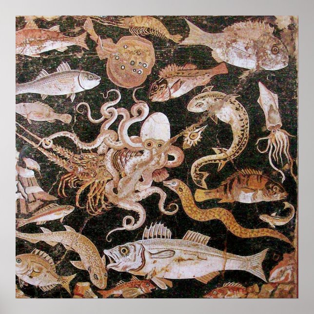 POSTER COLLECTE POMPEII / OCÉAN - SCÈNE DE VIE MARINE (Devant)