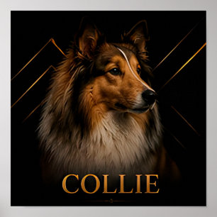 Poster Collection Collie Heritage Shepherd