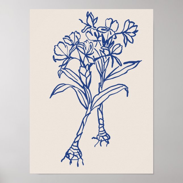 Poster Collection d'affiches d'art nature (Devant)