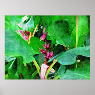 Poster Collection de bananes de velours rose tropical