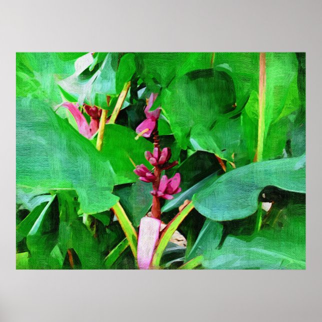 Poster Collection de bananes de velours rose tropical (Devant)