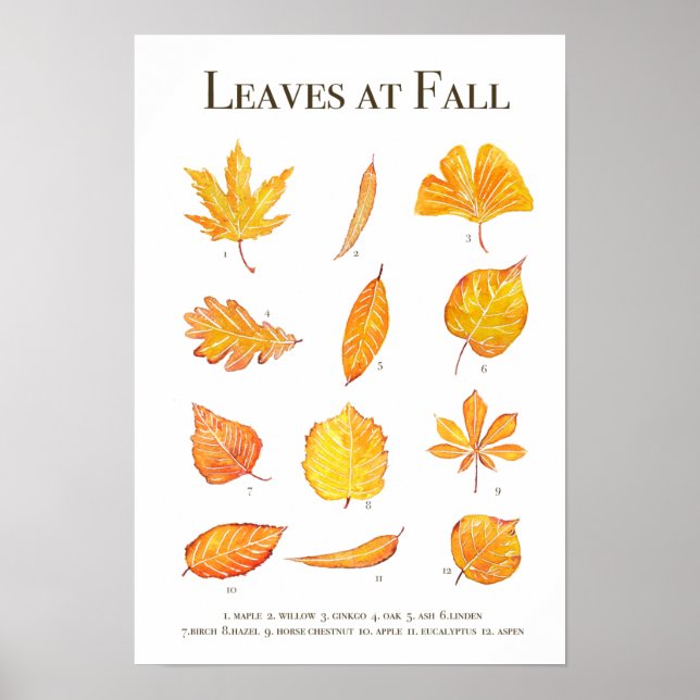 Poster Collection de feuilles d'automne aquarelle (Devant)